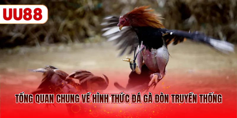 Tổng quan chung về hình thức đá gà đòn truyền thống